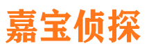 策勒市私家侦探